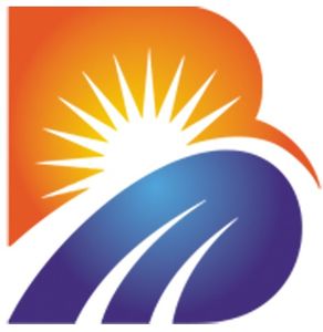 Company icon