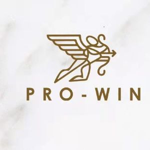 Company icon