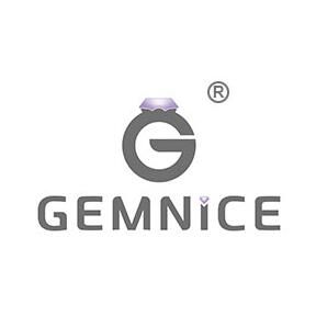 Company icon