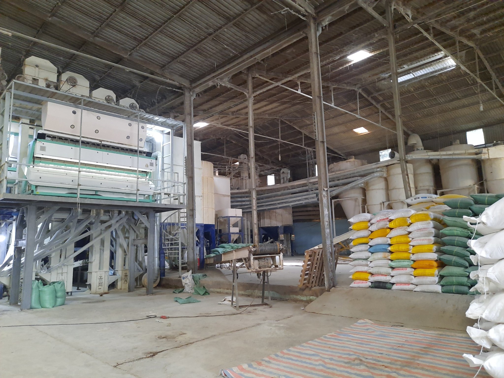 Ngoc Chau TM DV Import Export Company Co., LTD Japonica rice