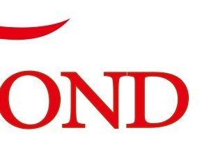 Company icon