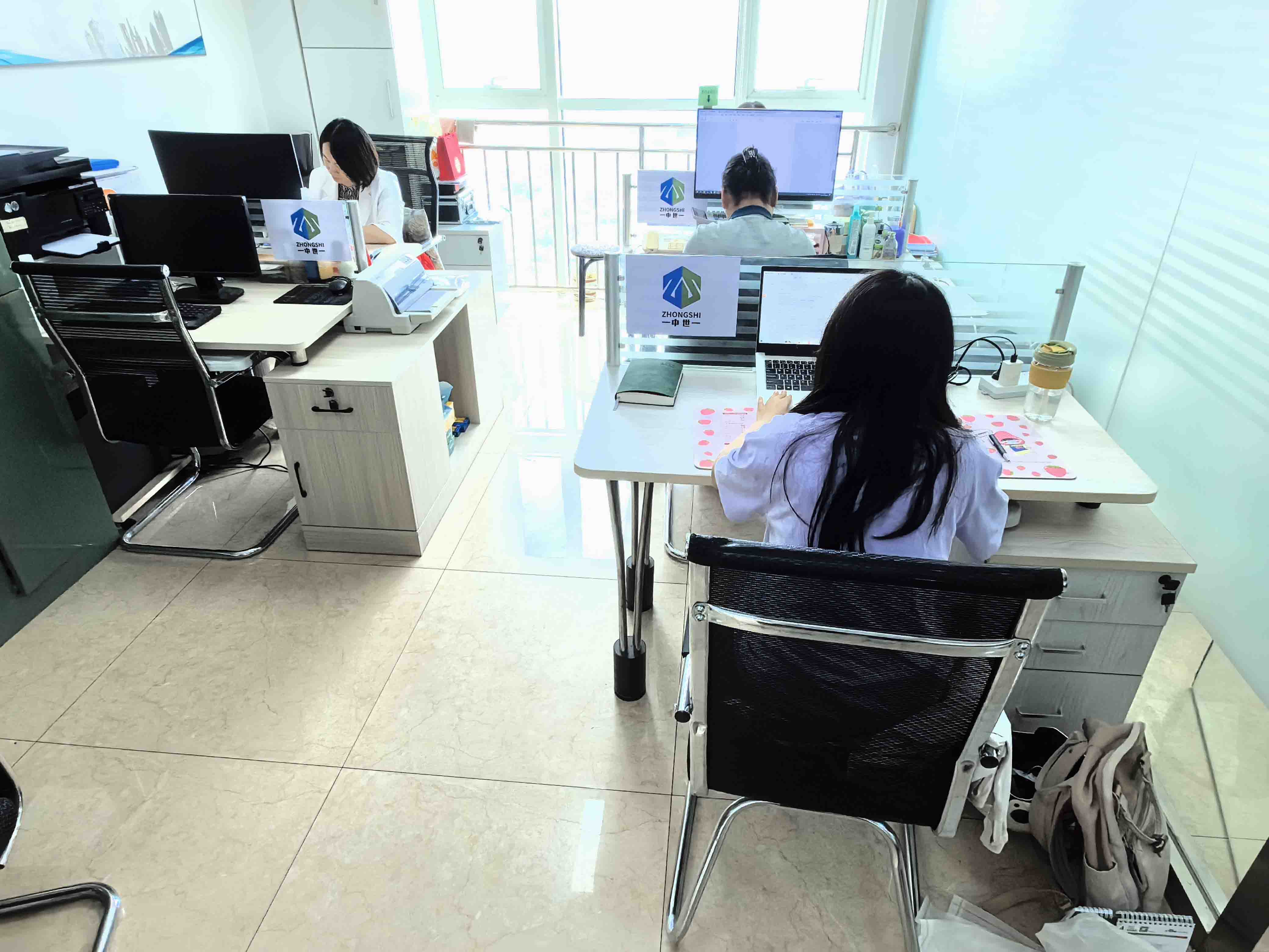 Hebei Zhongshi Shuzhi Technology Co., Ltd. thermal transfer overprinter