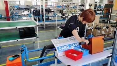 Zhejiang Haying Intelligent Technology Co., Ltd. Electric Bike
