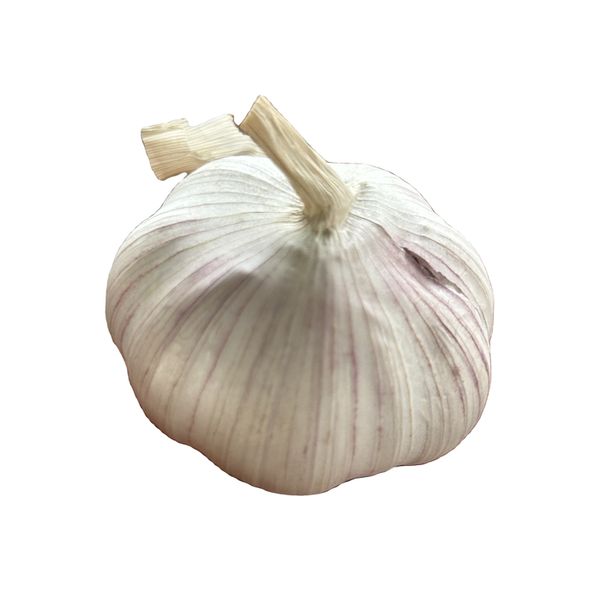 Fresh Normal White Garlic in 20KG/Mesh Bag 5.0cm+,5.5cm+ .6.0cm+ -Expot to Pakistan. India, Bangladesh Nepal Market