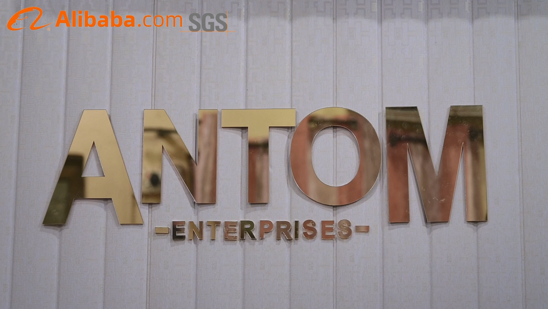 Antom Enterprises Boxing Gloves