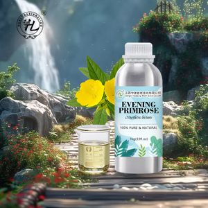 Bulk Evening Primrose Oil Organic For Capsule Softgel - 100% Pure Nautral Oenothera biennis Seed Cold Pressed Carrier Oil | 1kg