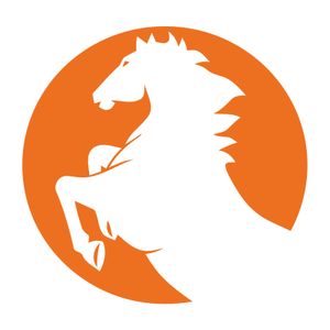 Company icon