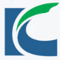 Company icon