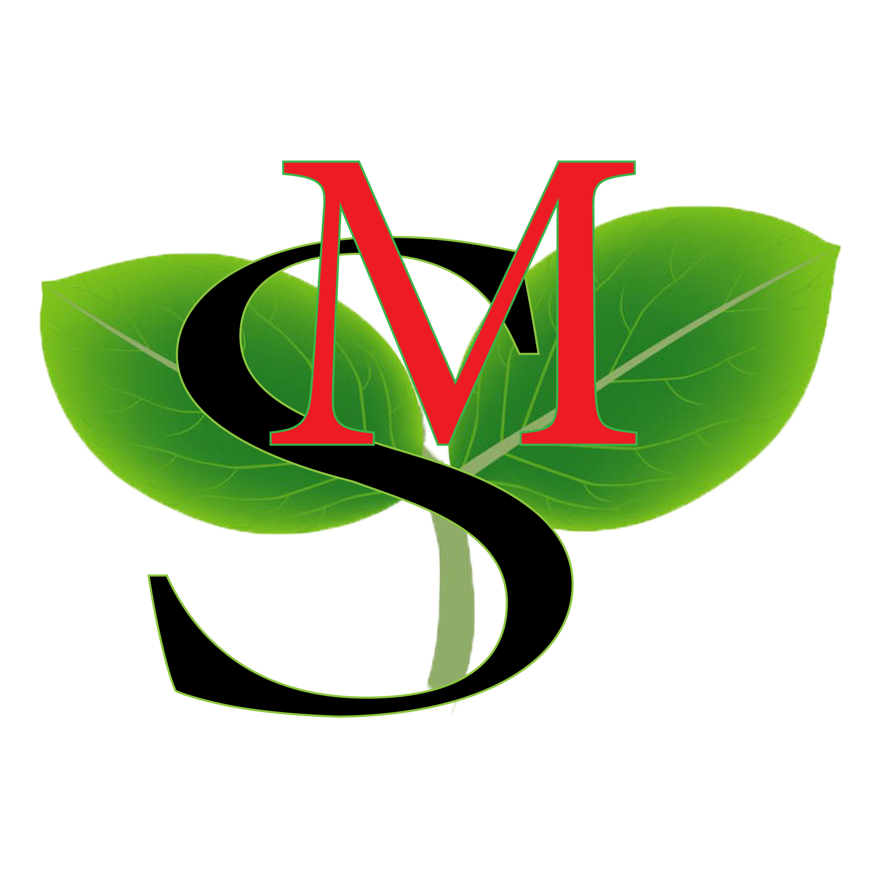 Tianjin Shangmengxinghe Technology Co., Ltd. logo
