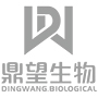 Shandong Dingwang Biotechnology Co., Ltd. logo
