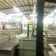 FZ Metal Products Co., Ltd. Medals