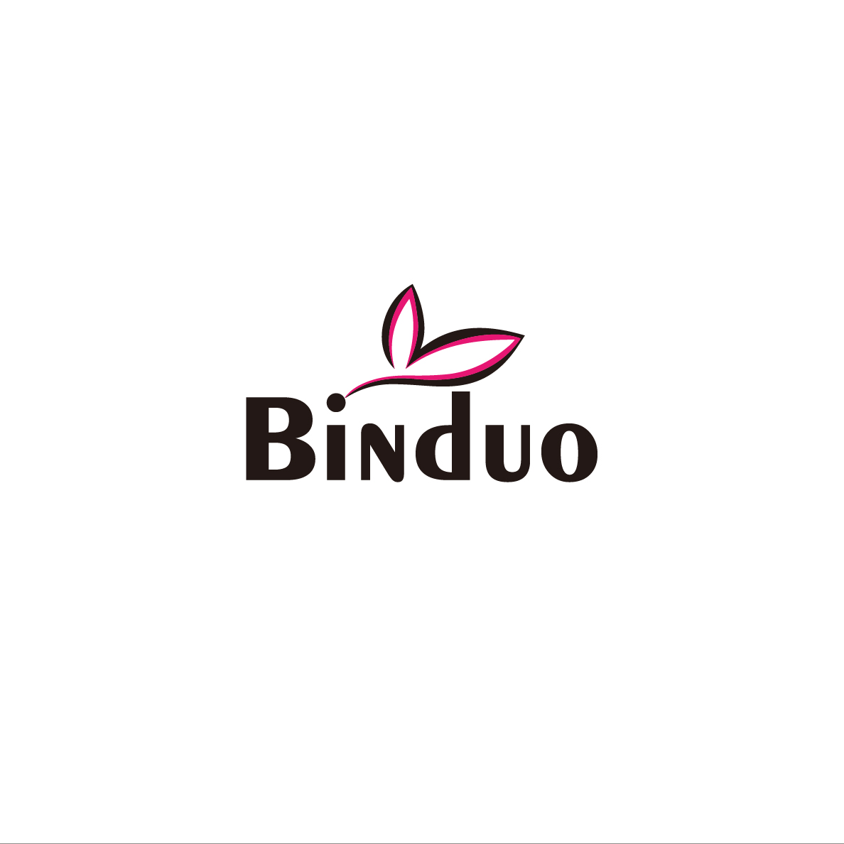 Shanxi Binduo Technology Co., Ltd. logo