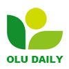 Company icon