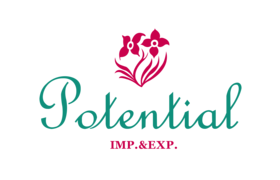 Qingdao Potential Import & Export Co., Ltd. logo