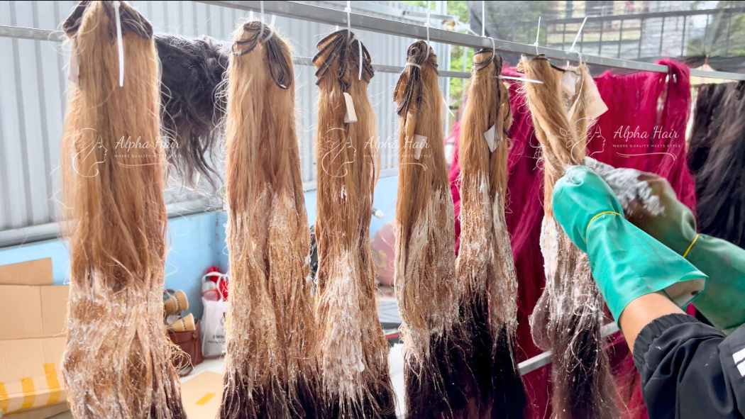 ALPHA HAIR VIETNAM CO., LTD Lace Wigs