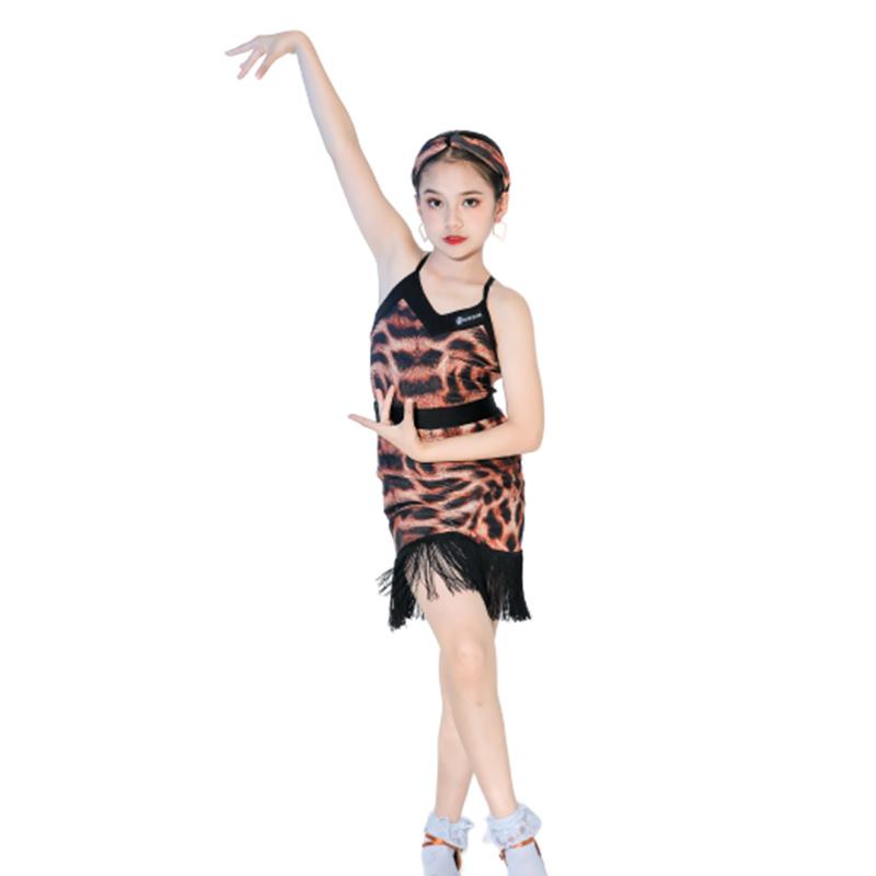 Shangrao Yifeiya Clothing Co., Ltd. New Design Girls Ballroom Latin Dress Leopard Print Dance Costume Stage Dance Wear Professional Latin Dance Dress Women