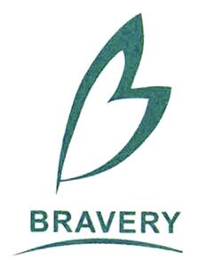 Bravery Sports Products (jiangsu) Co., Ltd. logo