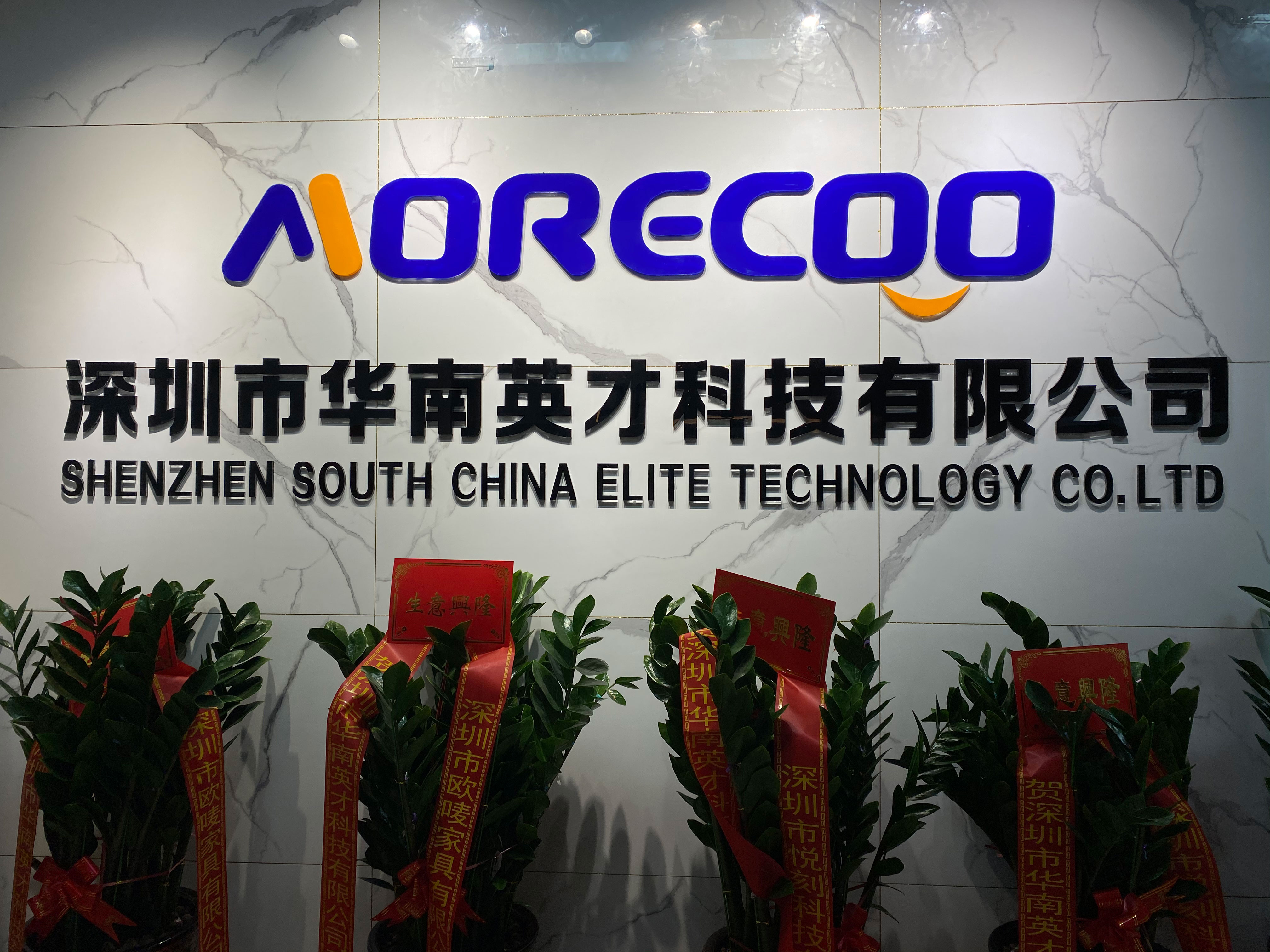 Shenzhen South China Yingcai Technology Co.,Ltd. Hair Dryer