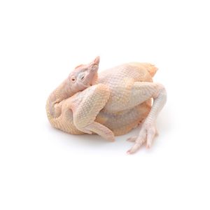 Brazil Wholesale price Halal Frozen Whole Chickens For Sale