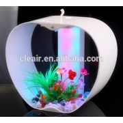 Mini Fish Tank