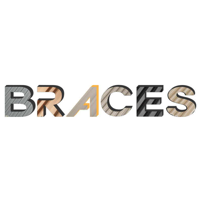 Shandong Braces International Trade Co., Ltd. logo