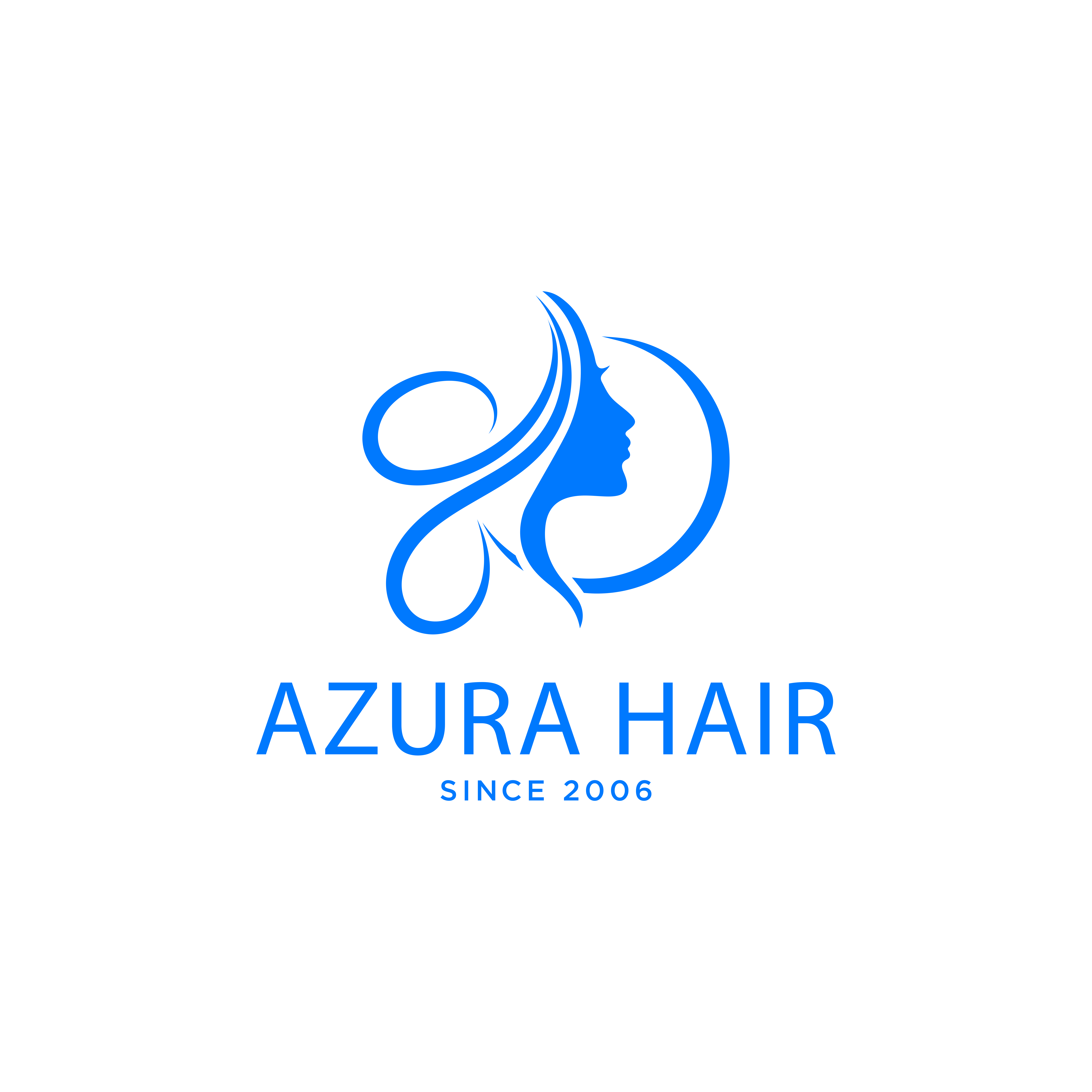 AZURA IMPORT EXPORT COMPANY LIMITED logo