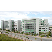 Fujian Singyee Import & Export Co., Ltd. sandals