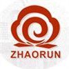 Company icon