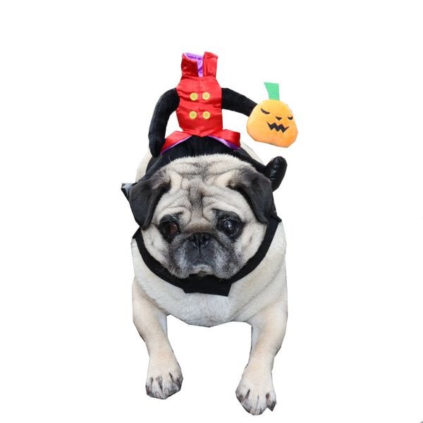 Halloween Fun Dog Suit Funny No face Man Dress up for Pets Best Sales!