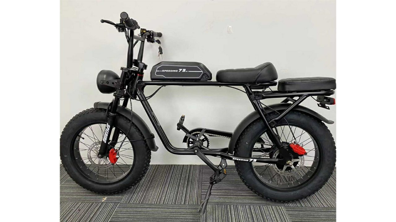 Yantai Feiwo International Trading Co., Ltd. Electric Motorcycle