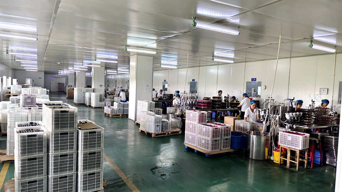 Shandong Aili Cosmetics Co., Ltd. factory image 4