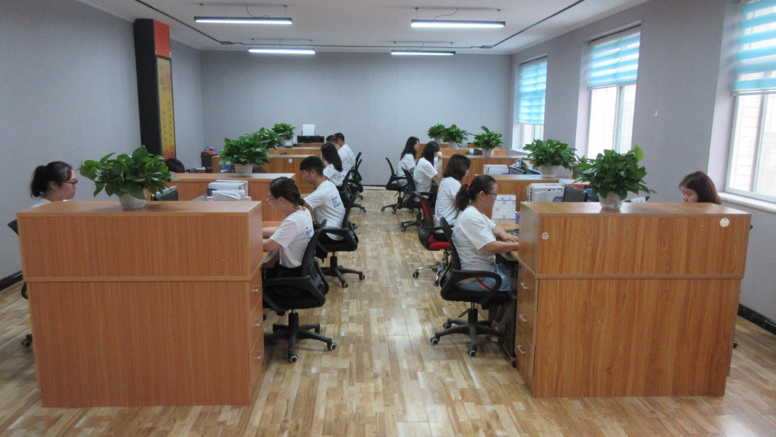 Baoding Baigou Tianshangxing Bag Leather Goods Co., Ltd. factory image 3