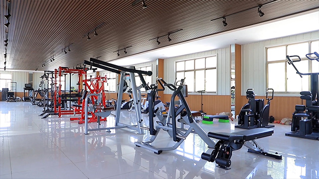 Guangzhou Zhenghao Fitness Equipment Factory Treadmill