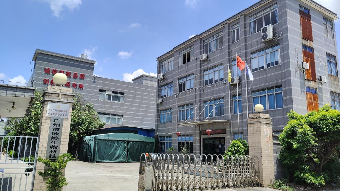 Guangzhou Xinting Biotechnology Co., Ltd. Laundry Sheets