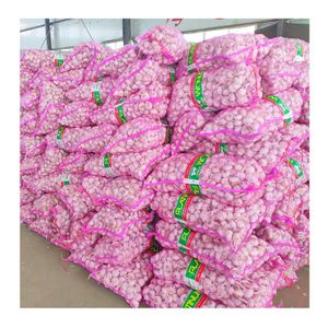 good price hot sale 5cm fresh white garlic wholesale with GLOBAL GAP&ISO9001 2024 newest high quality green vegetables export