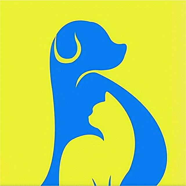 Ningbo Jinchen Imp. And Exp. Co., Ltd logo