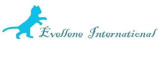 Evellene International Vanilla Beans