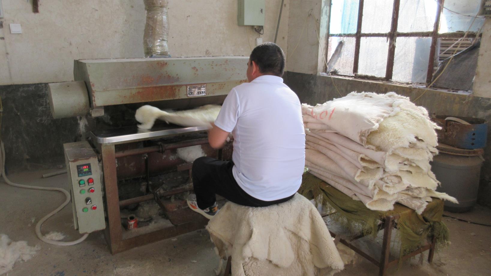 Qinyang Hesheng Leather Industry Co., Ltd. factory image 5