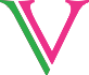 Vanity Vision logo