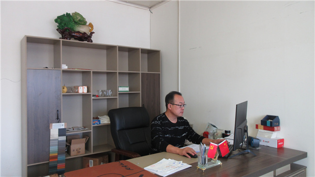 Tianjin King Honza Carpet Co., Ltd. Machine Tufted Shaggy Carpet