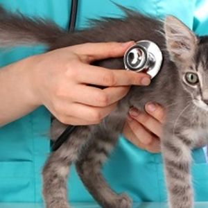 Mini-Med 90 X-Ray Film Processor