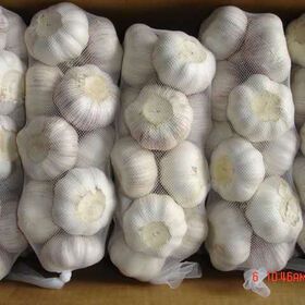 fresh garlic and ginger fresh garlic importer normal white pure white garlic price in china