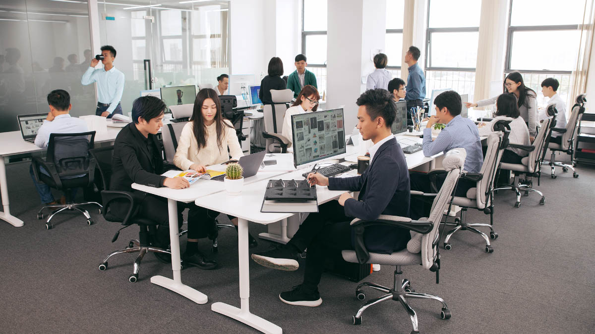 Foshan Square Intelligent Technology Co., Ltd. cat scratcher