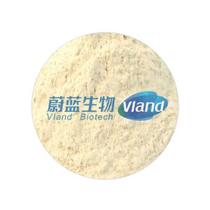 VLAND High Quality Food Grade Aminopeptidase Enzyme for Protein Hydrolyzate Flavor Enhancer Food Additives
