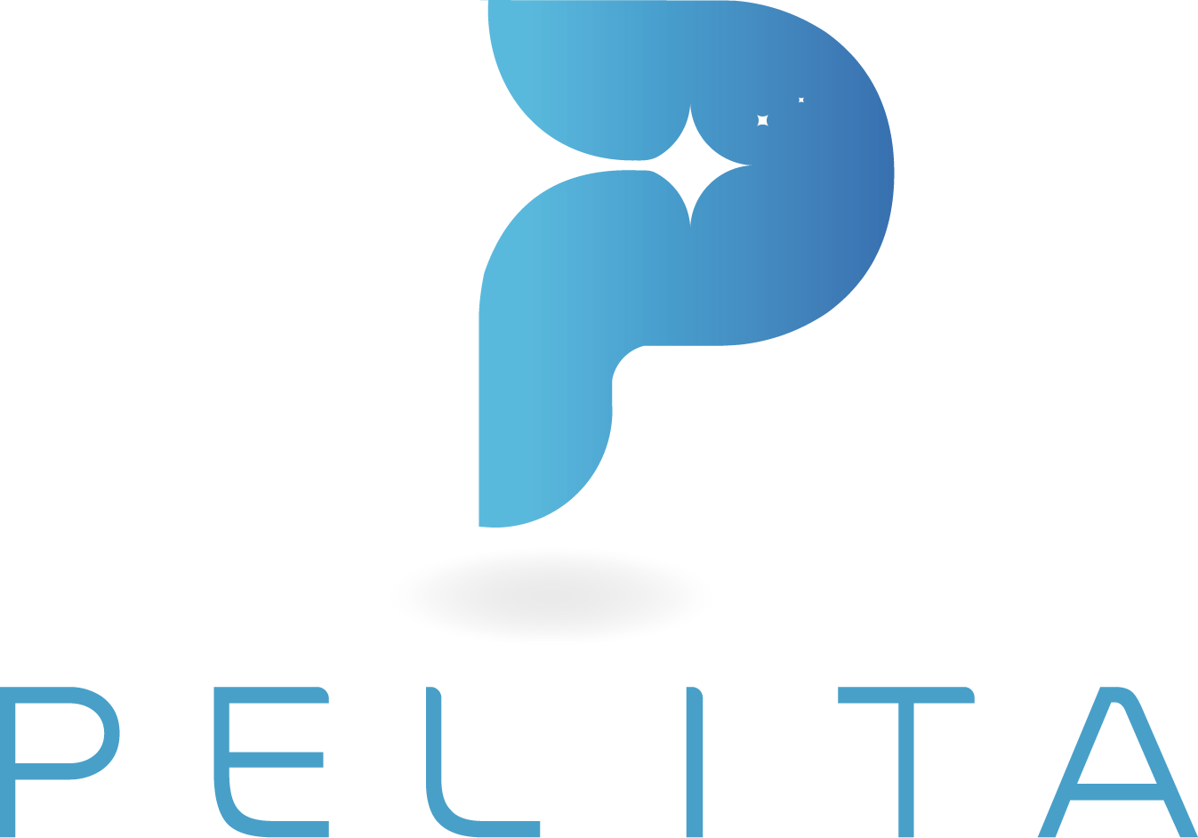Shanghai Pelita Import and Export Co., Ltd. logo