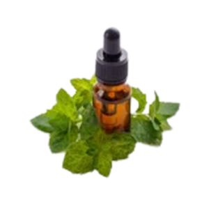 Private Label Custom Made Wholesale Price 100% Pure & Natural Leaves Extracted Melissa Essential Oil from India