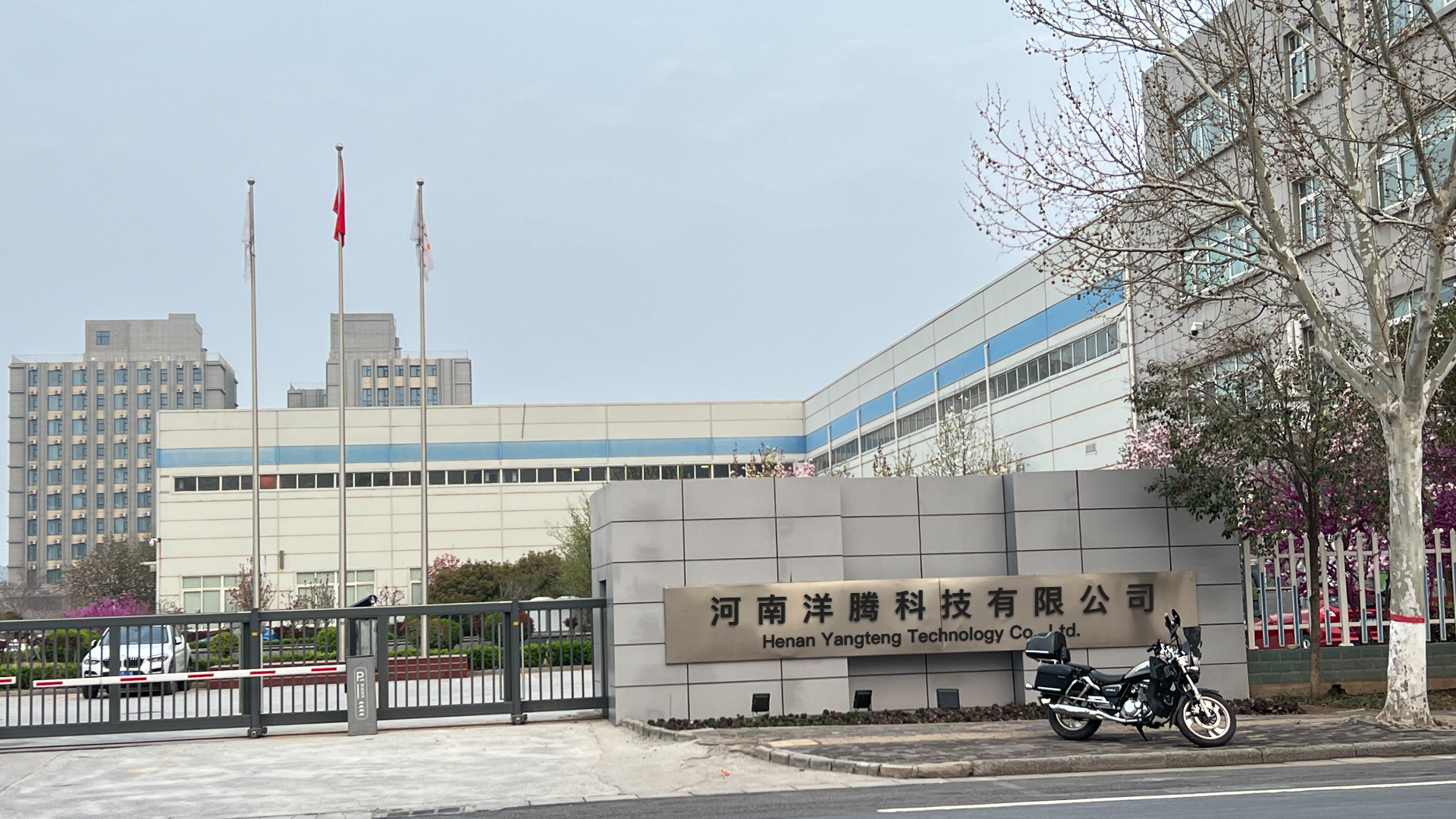 Henan Yangteng Technology Co., Ltd. Collectible Figures
