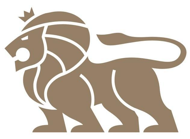 Shandong Lion Electric Technology Co., Ltd. logo