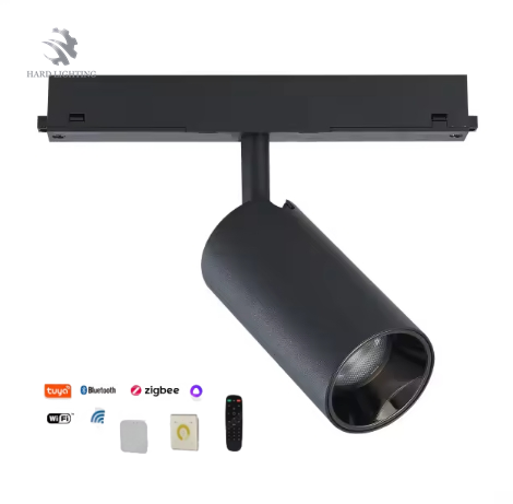 Shenzhen Hard Lighting Technology Co., Ltd. Intelligent Full Spectrum Magnetic Lamp Infinitely Dimmable Color Dimmable 48V Home No Mains Lighting 3500K Spotlights