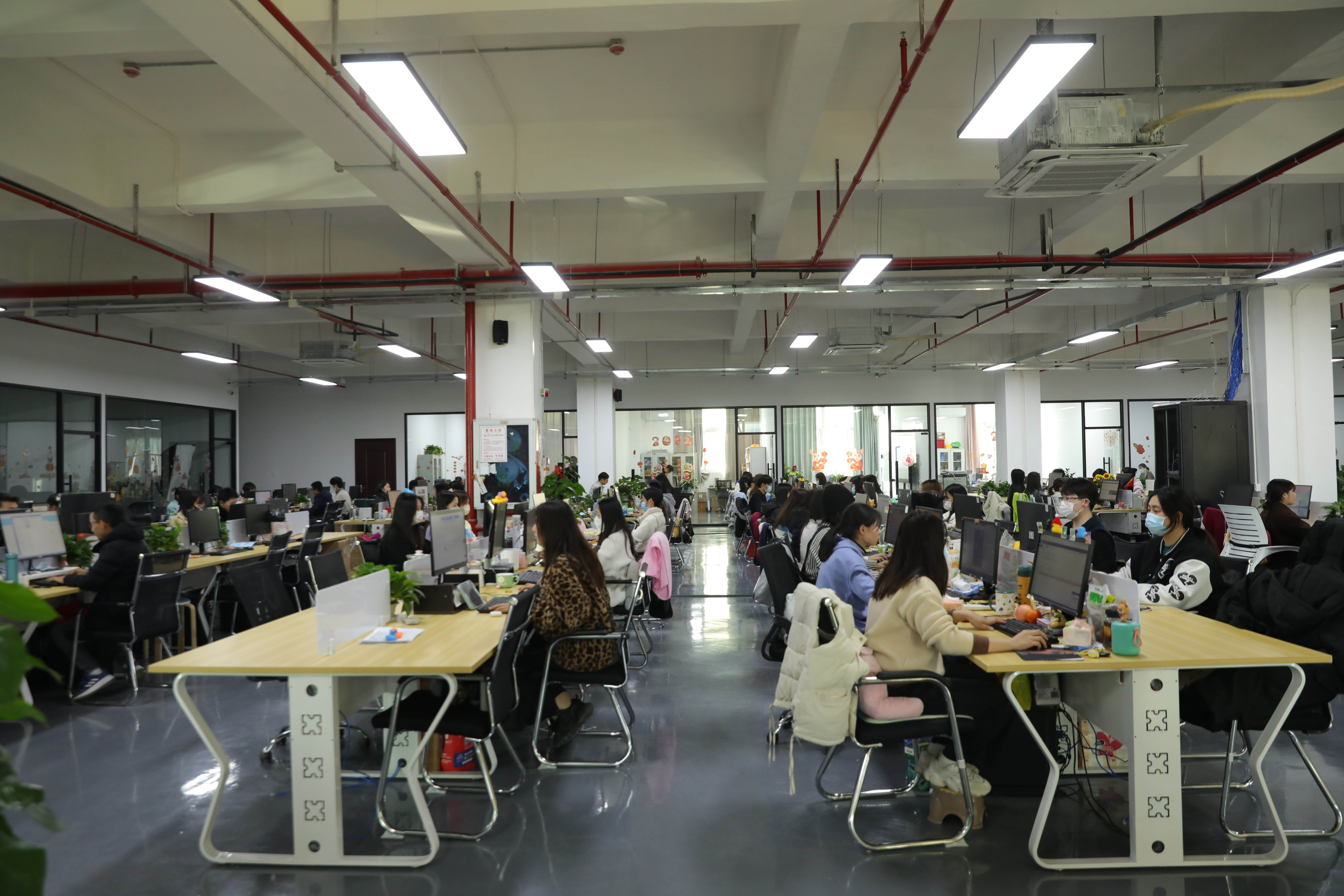 Shenzhen Ten Star Future Technology Co., Ltd. factory image 2